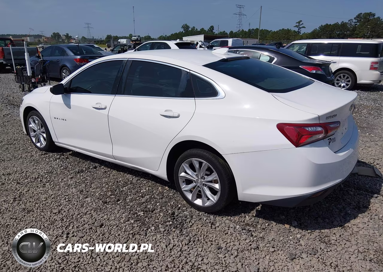 2020 Chevrolet Malibu Fwd Lt VIN:1G1ZD5ST6LF036186 - 3