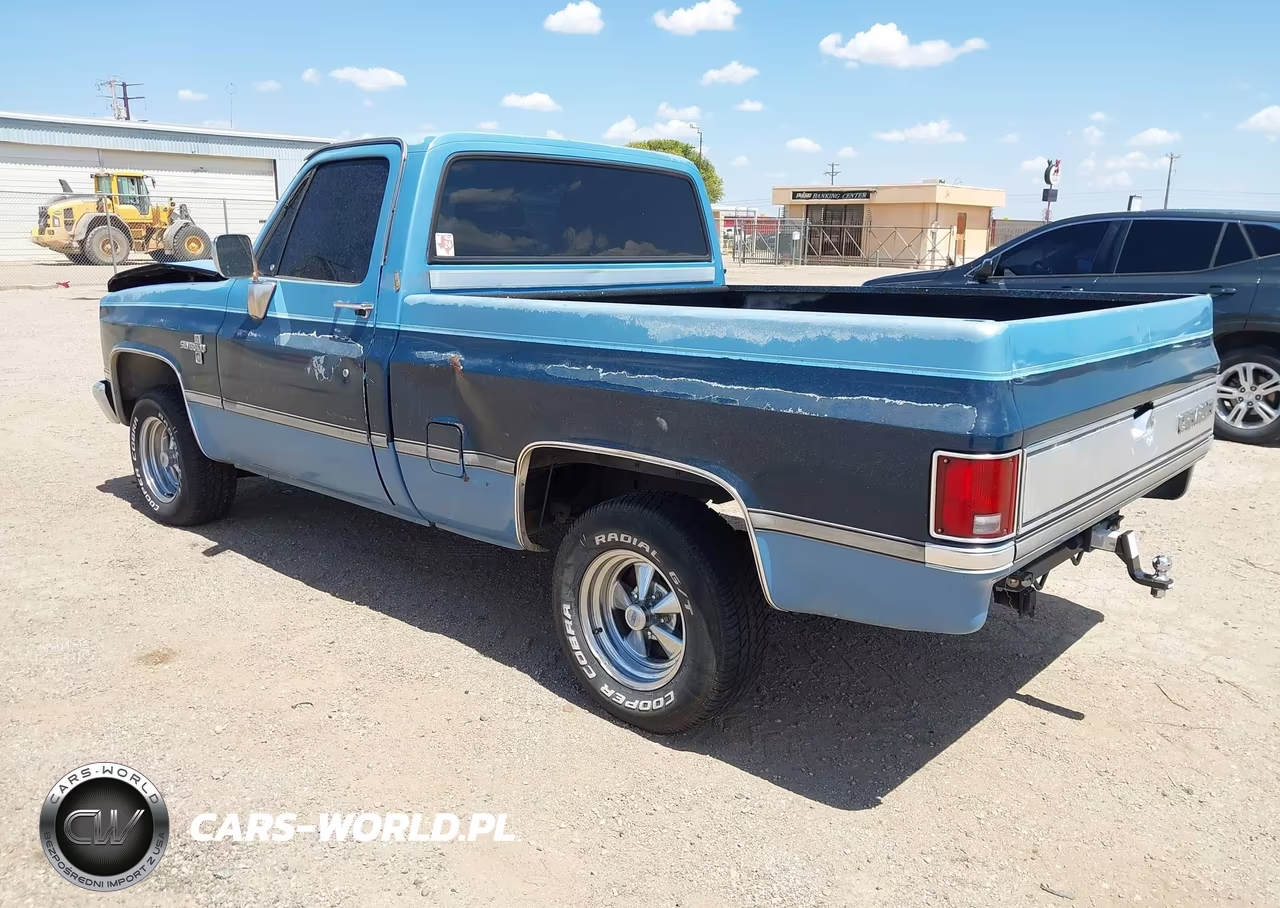 1985 Chevrolet C10 VIN:1GCDC14H3FJ160939 - 3