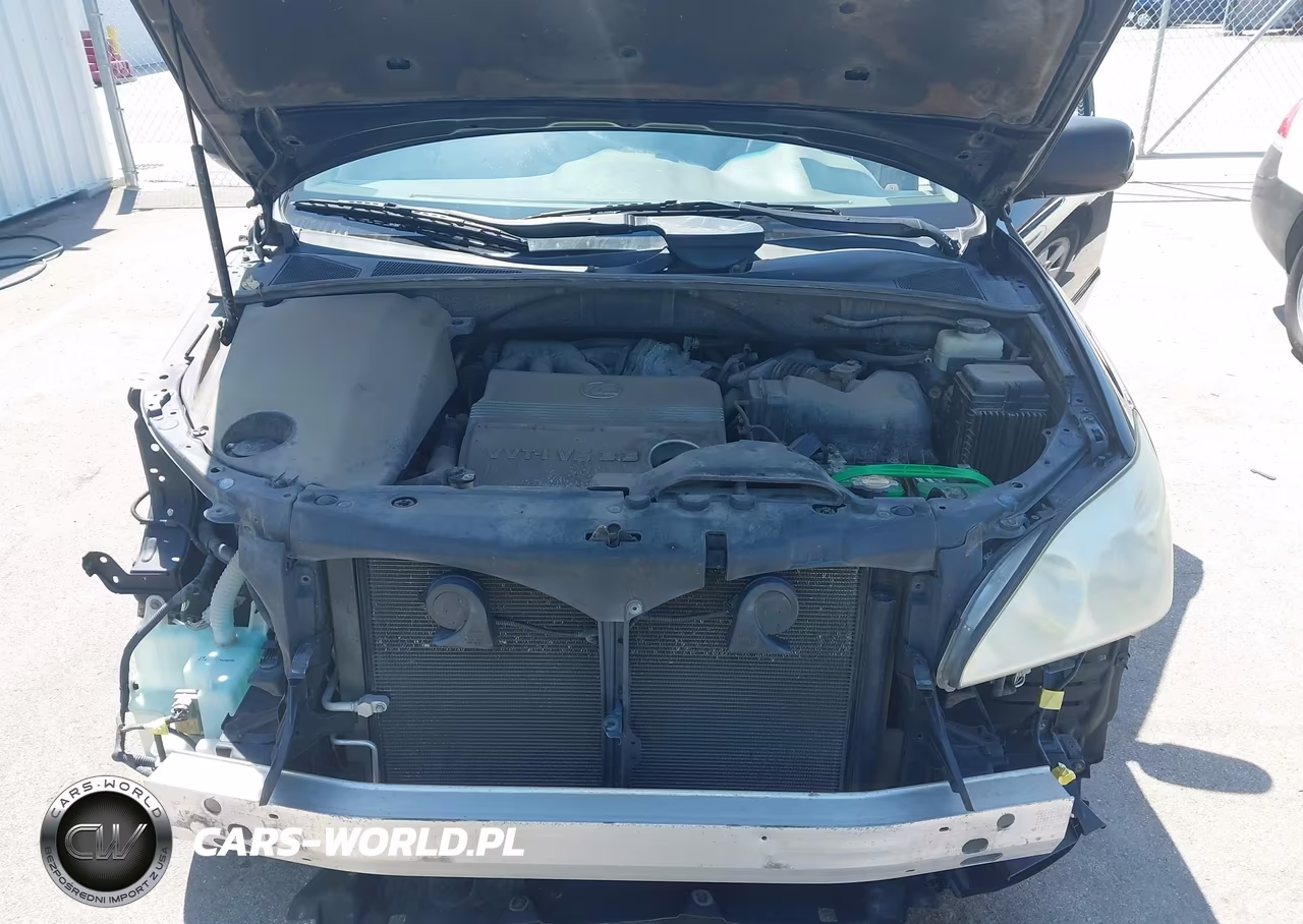 2005 Lexus Rx 330 VIN:2T2HA31U15C048683 - 10
