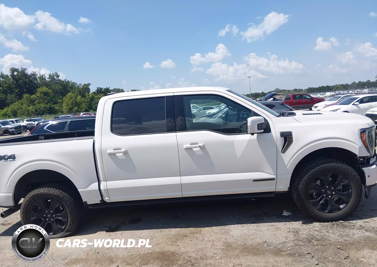 2022 Ford F-150 Platinum VIN:1FTFW1ED6NFC17356 - 13