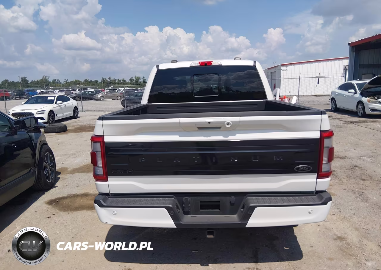 2022 Ford F-150 Platinum VIN:1FTFW1ED6NFC17356 - 16