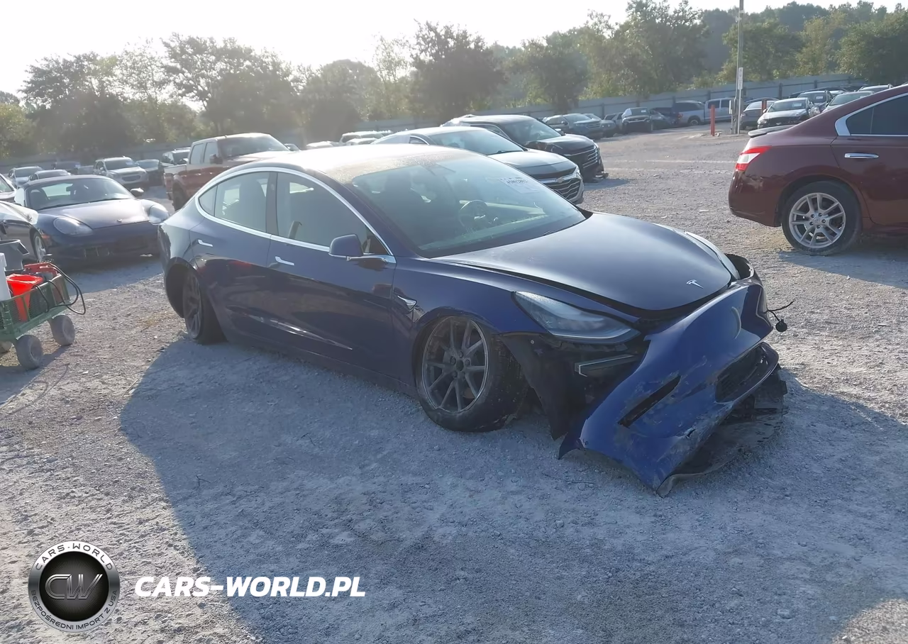 2019 Tesla Model 3 Long Range-Mid Range-Standard Range-Standard Range Plus