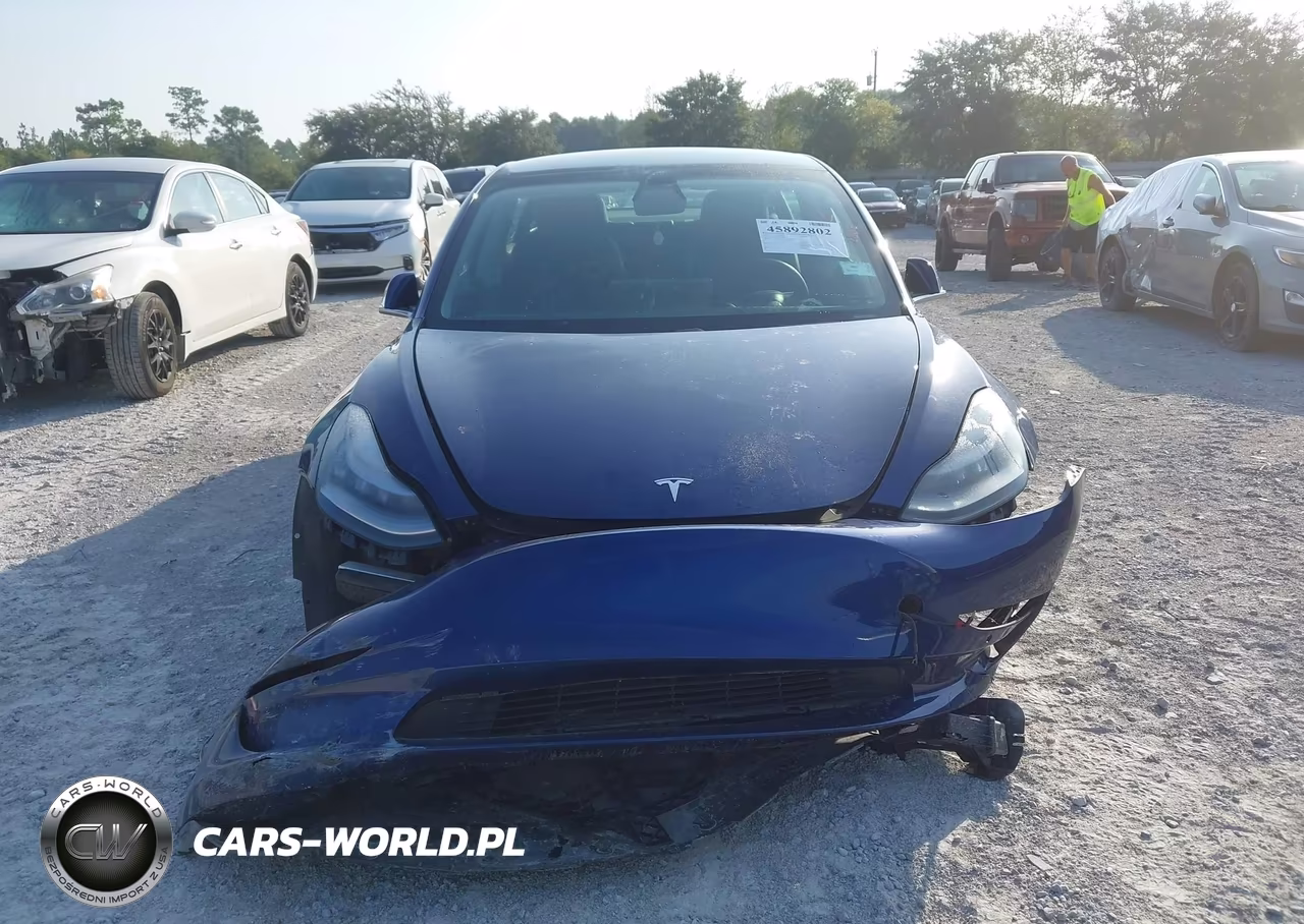 2019 Tesla Model 3 Long Range-Mid Range-Standard Range-Standard Range Plus VIN:5YJ3E1EA0KF435465 - 11