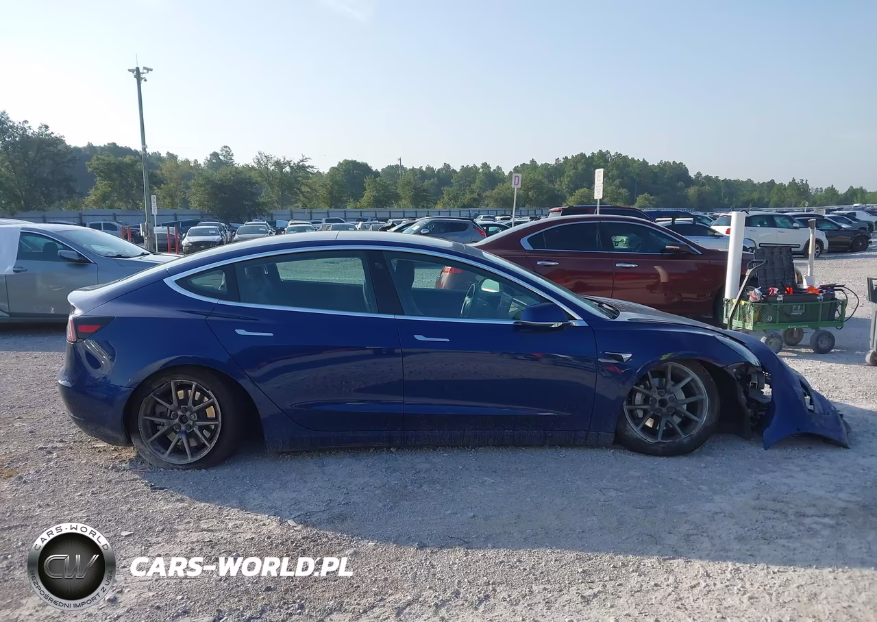 2019 Tesla Model 3 Long Range-Mid Range-Standard Range-Standard Range Plus VIN:5YJ3E1EA0KF435465 - 12