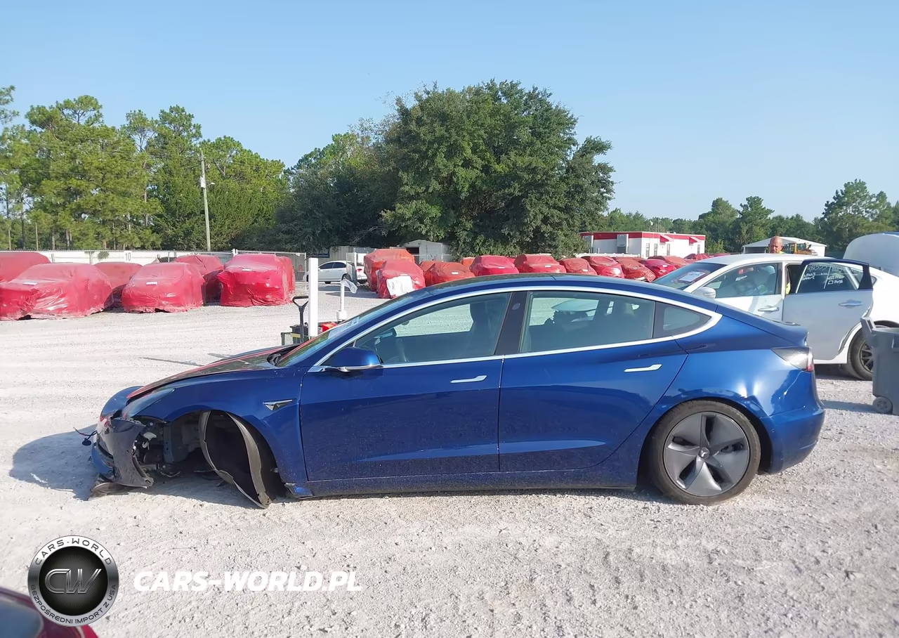 2019 Tesla Model 3 Long Range-Mid Range-Standard Range-Standard Range Plus VIN:5YJ3E1EA0KF435465 - 13