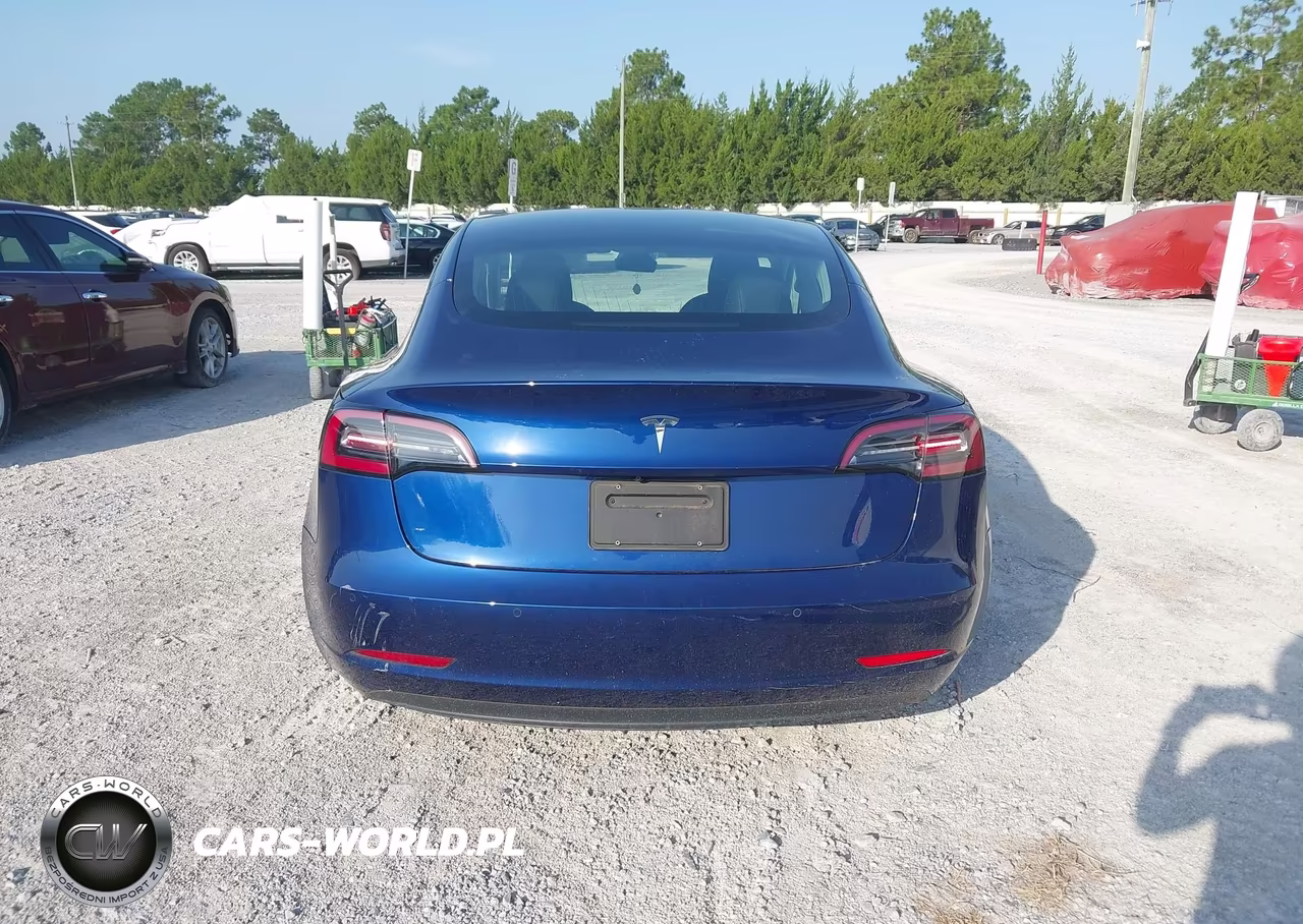 2019 Tesla Model 3 Long Range-Mid Range-Standard Range-Standard Range Plus VIN:5YJ3E1EA0KF435465 - 15