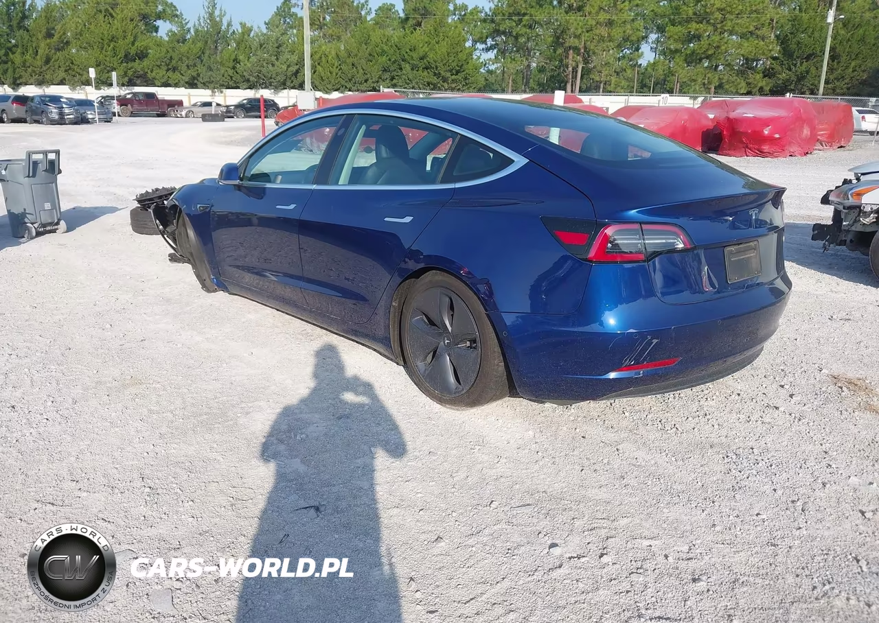 2019 Tesla Model 3 Long Range-Mid Range-Standard Range-Standard Range Plus VIN:5YJ3E1EA0KF435465 - 3