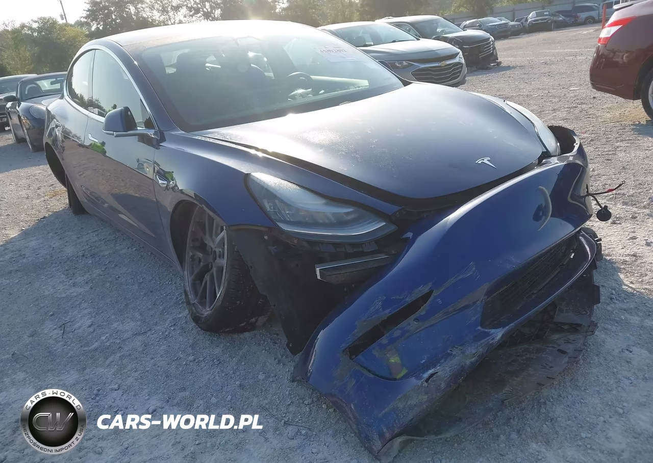 2019 Tesla Model 3 Long Range-Mid Range-Standard Range-Standard Range Plus VIN:5YJ3E1EA0KF435465 - 6