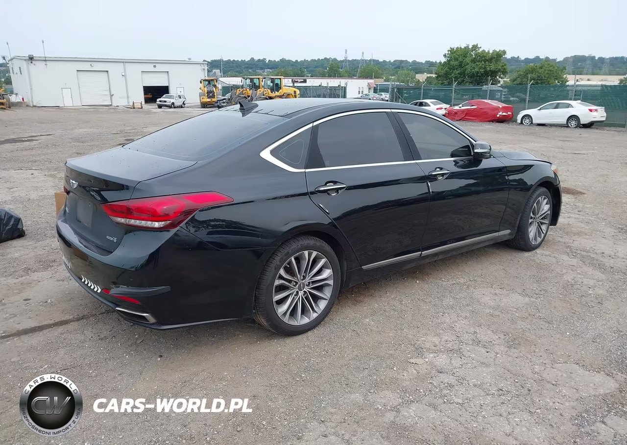 2015 Hyundai Genesis 3.8 VIN:KMHGN4JE7FU101776 - 4