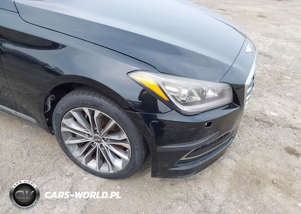 2015 Hyundai Genesis 3.8 VIN:KMHGN4JE7FU101776 - 6
