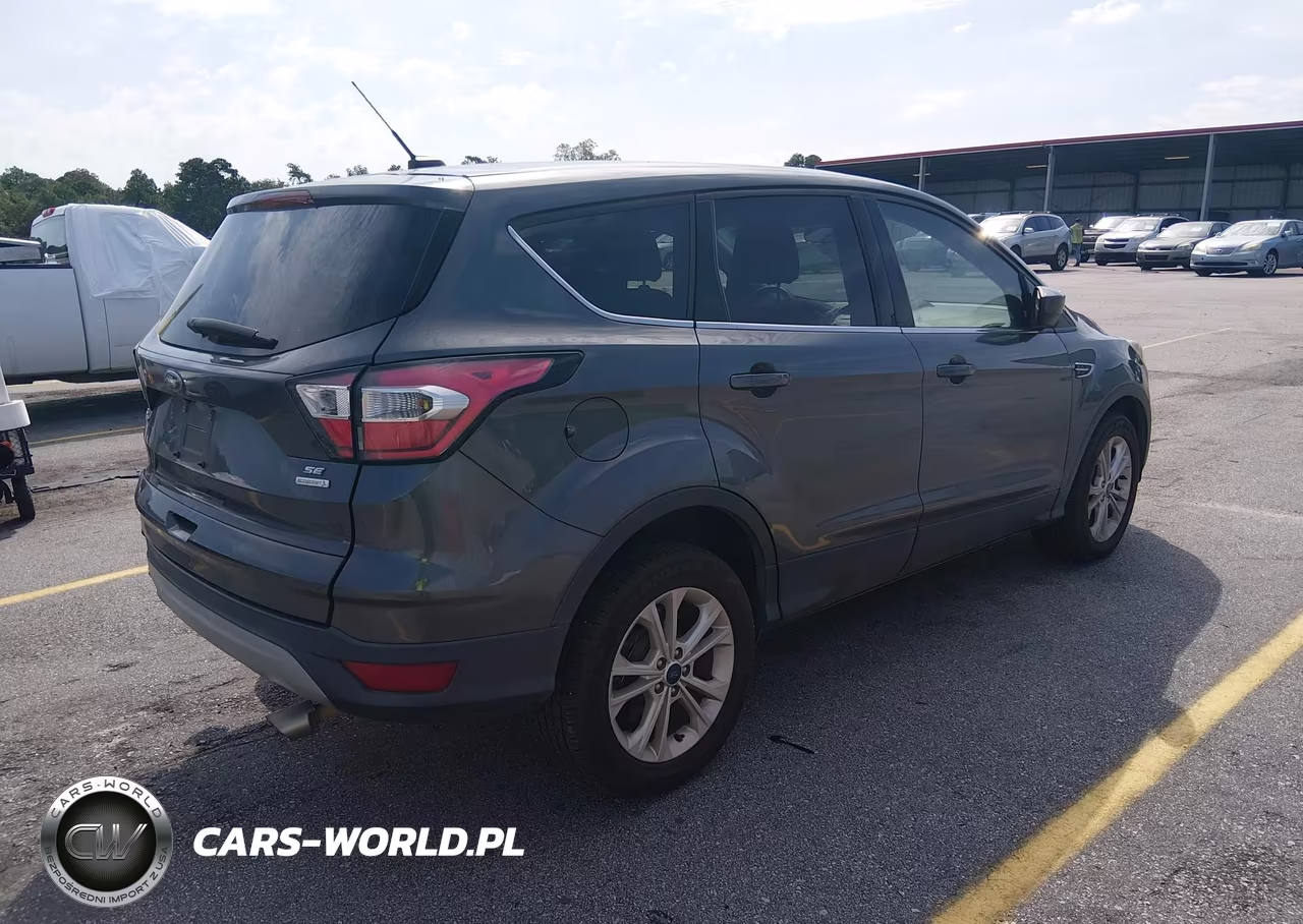 2017 Ford Escape Se VIN:1FMCU0GD6HUE84993 - 4