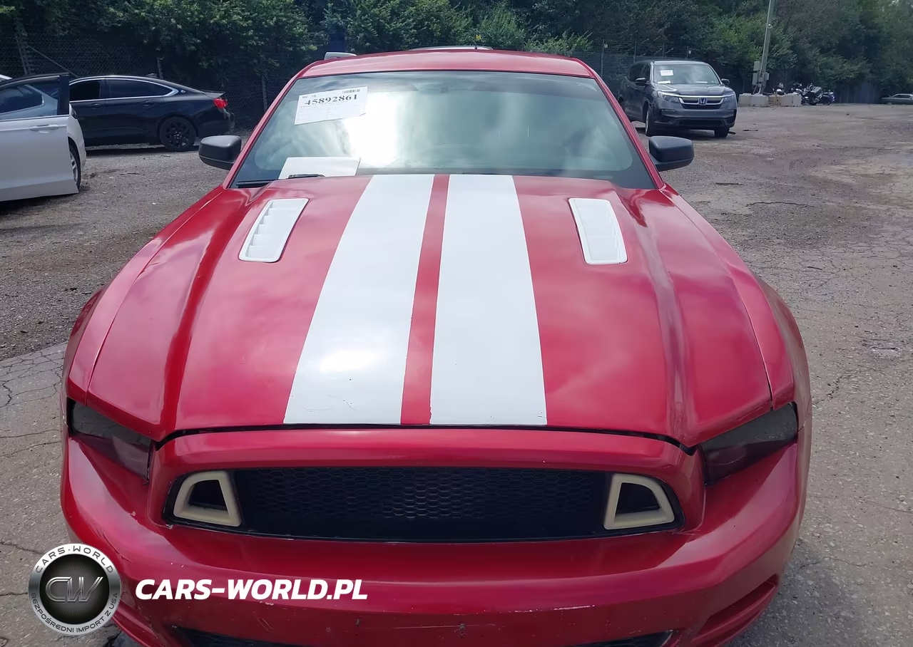 2013 Ford Mustang V6 VIN:1ZVBP8AM8D5269406 - 10
