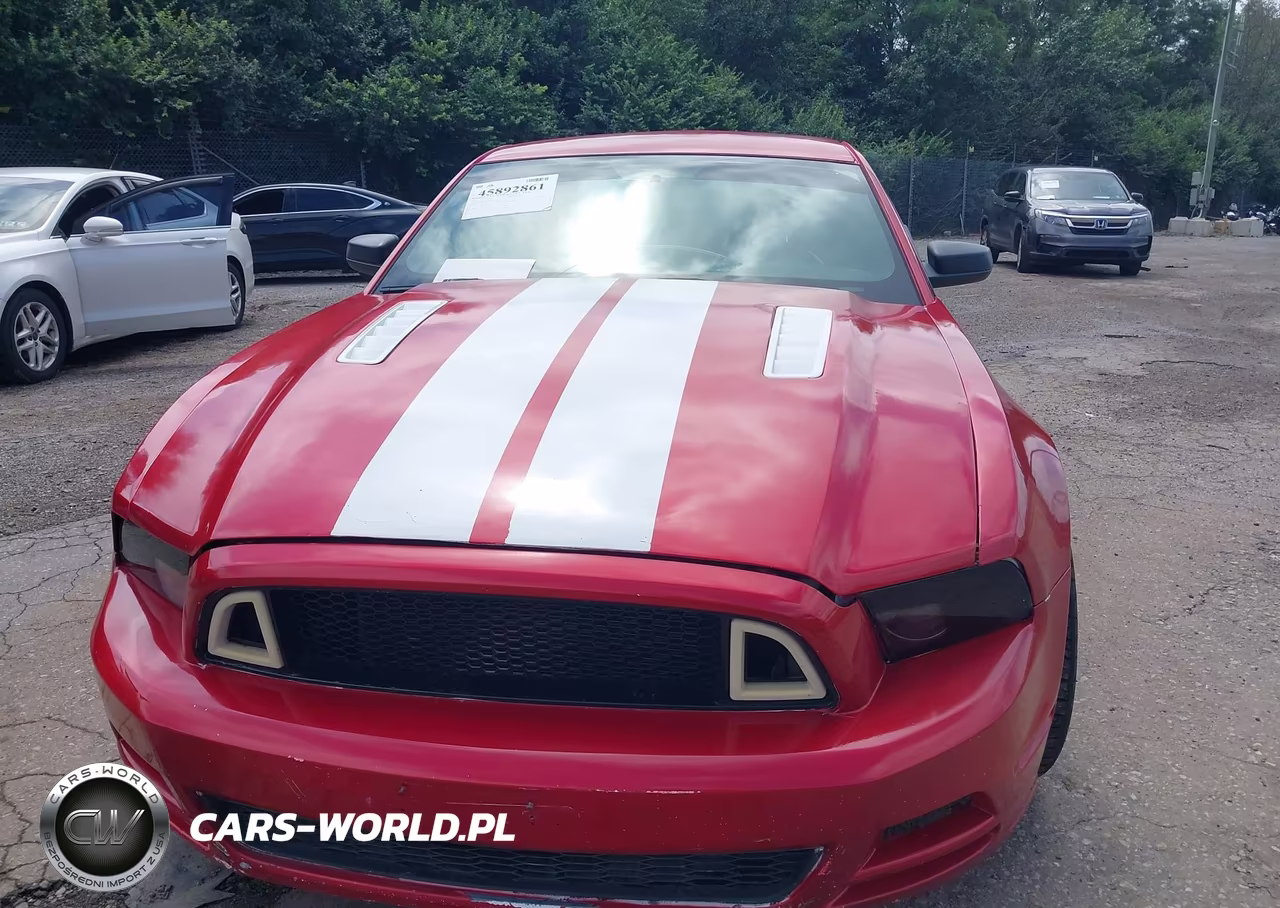 2013 Ford Mustang V6 VIN:1ZVBP8AM8D5269406 - 13