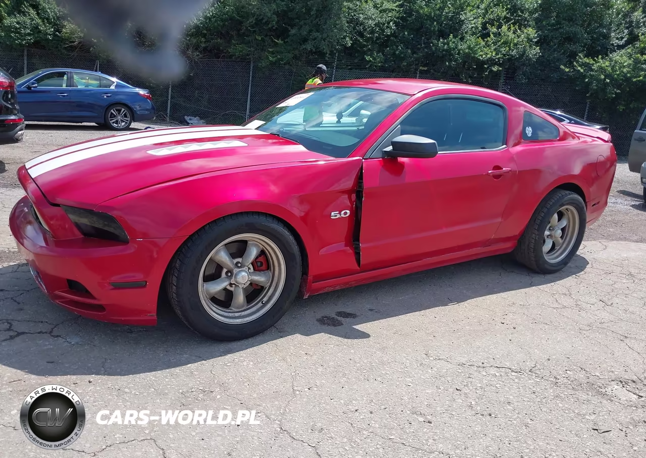 2013 Ford Mustang V6 VIN:1ZVBP8AM8D5269406 - 15