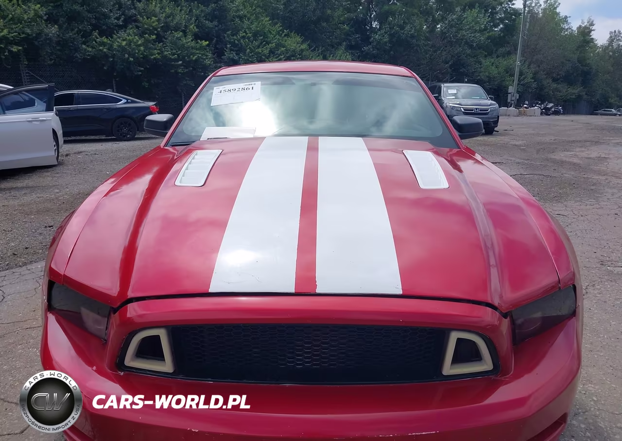 2013 Ford Mustang V6 VIN:1ZVBP8AM8D5269406 - 6