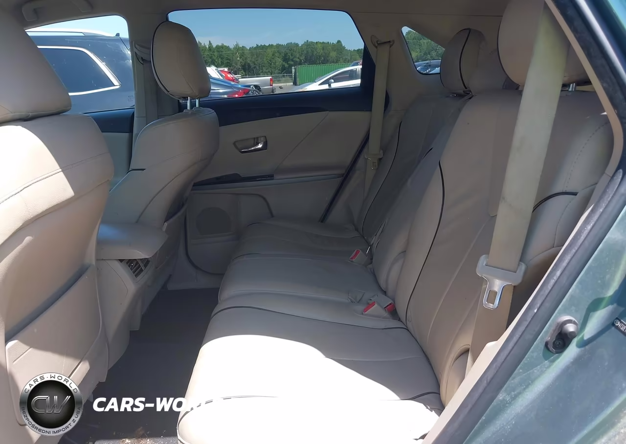 2009 Toyota Venza VIN:4T3ZE11A49U002655 - 8