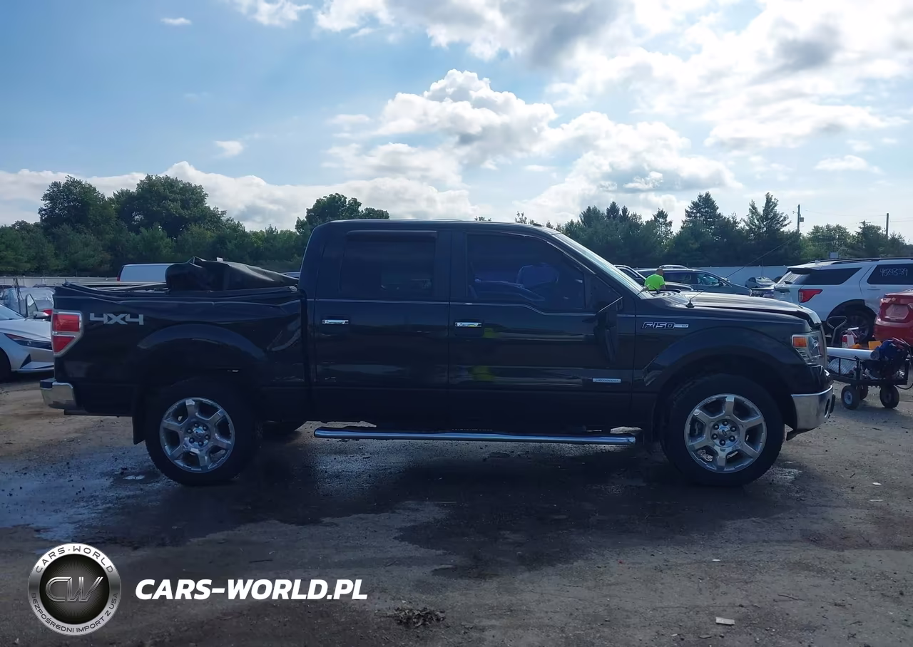 2014 Ford F-150 Xlt VIN:1FTFW1ET6EFC87933 - 13