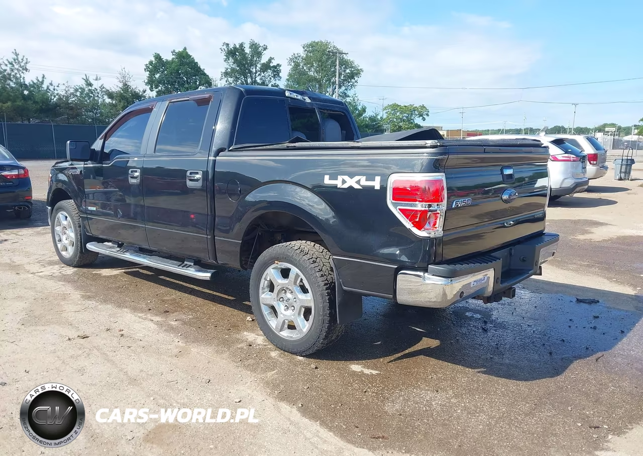 2014 Ford F-150 Xlt VIN:1FTFW1ET6EFC87933 - 3