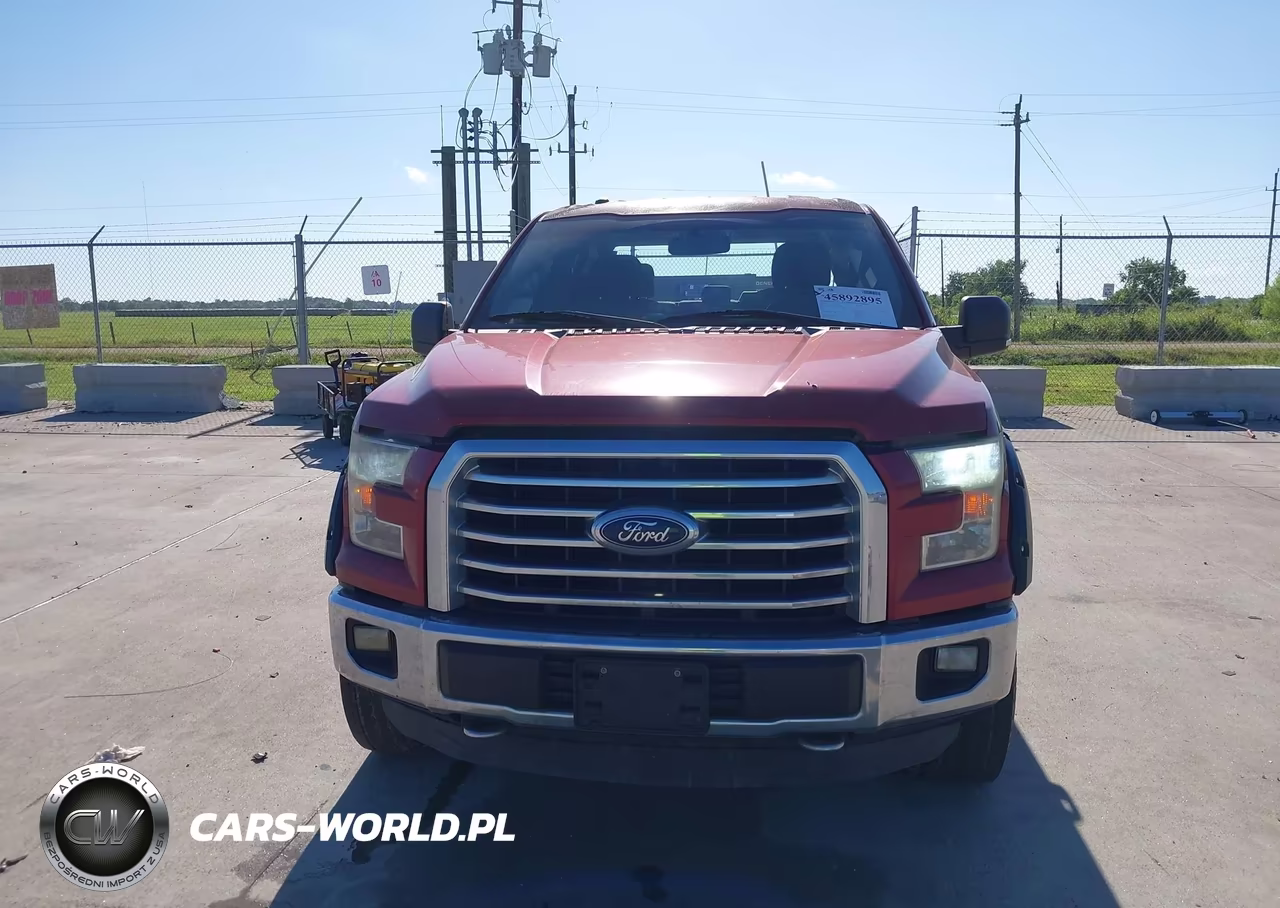 2015 Ford F-150 Xlt VIN:1FTEW1EF7FKD19545 - 12