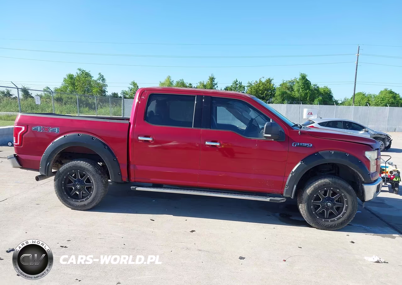 2015 Ford F-150 Xlt VIN:1FTEW1EF7FKD19545 - 13