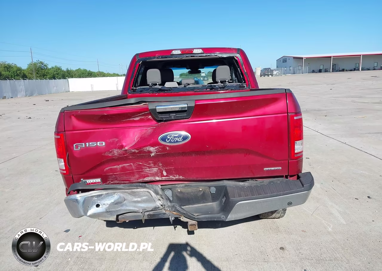 2015 Ford F-150 Xlt VIN:1FTEW1EF7FKD19545 - 16