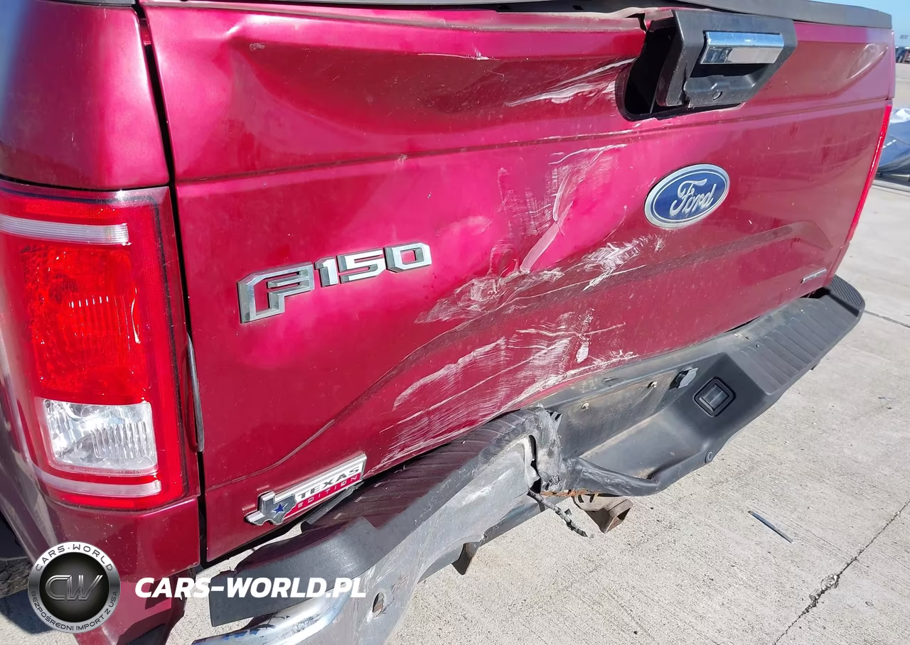 2015 Ford F-150 Xlt VIN:1FTEW1EF7FKD19545 - 6