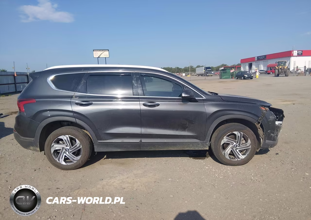 2023 Hyundai Santa Fe Sel VIN:5NMS2DAJ2PH561151 - 13