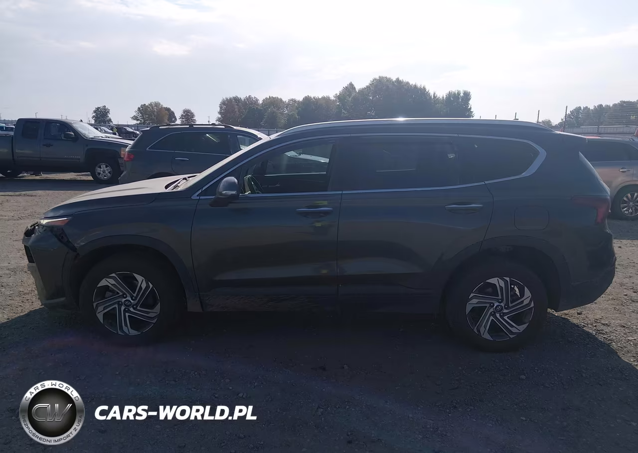 2023 Hyundai Santa Fe Sel VIN:5NMS2DAJ2PH561151 - 14