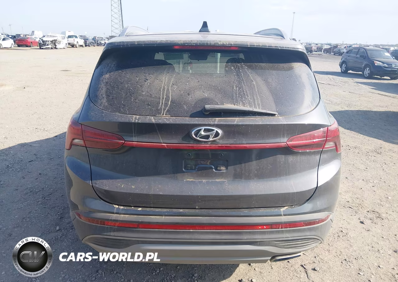 2023 Hyundai Santa Fe Sel VIN:5NMS2DAJ2PH561151 - 16