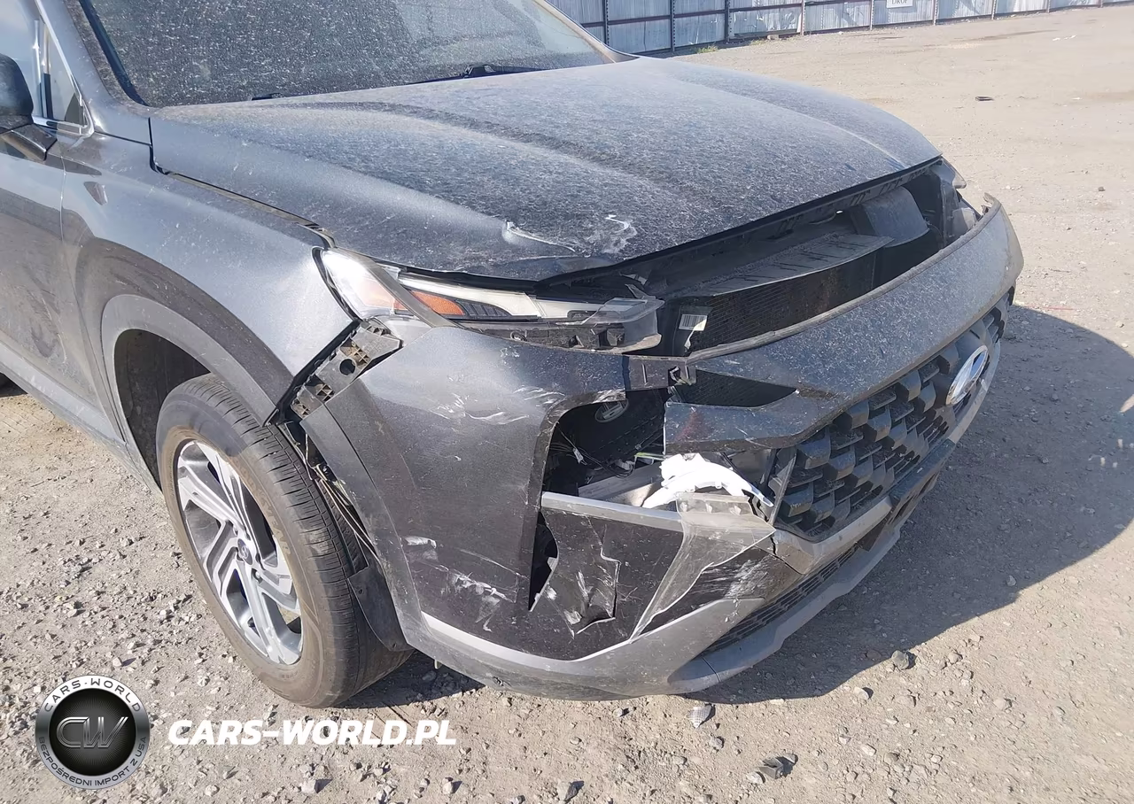 2023 Hyundai Santa Fe Sel VIN:5NMS2DAJ2PH561151 - 17
