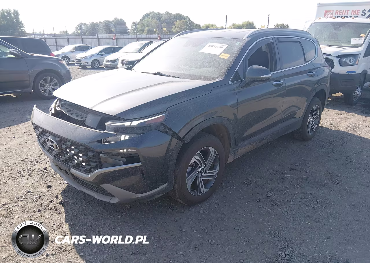 2023 Hyundai Santa Fe Sel VIN:5NMS2DAJ2PH561151 - 2