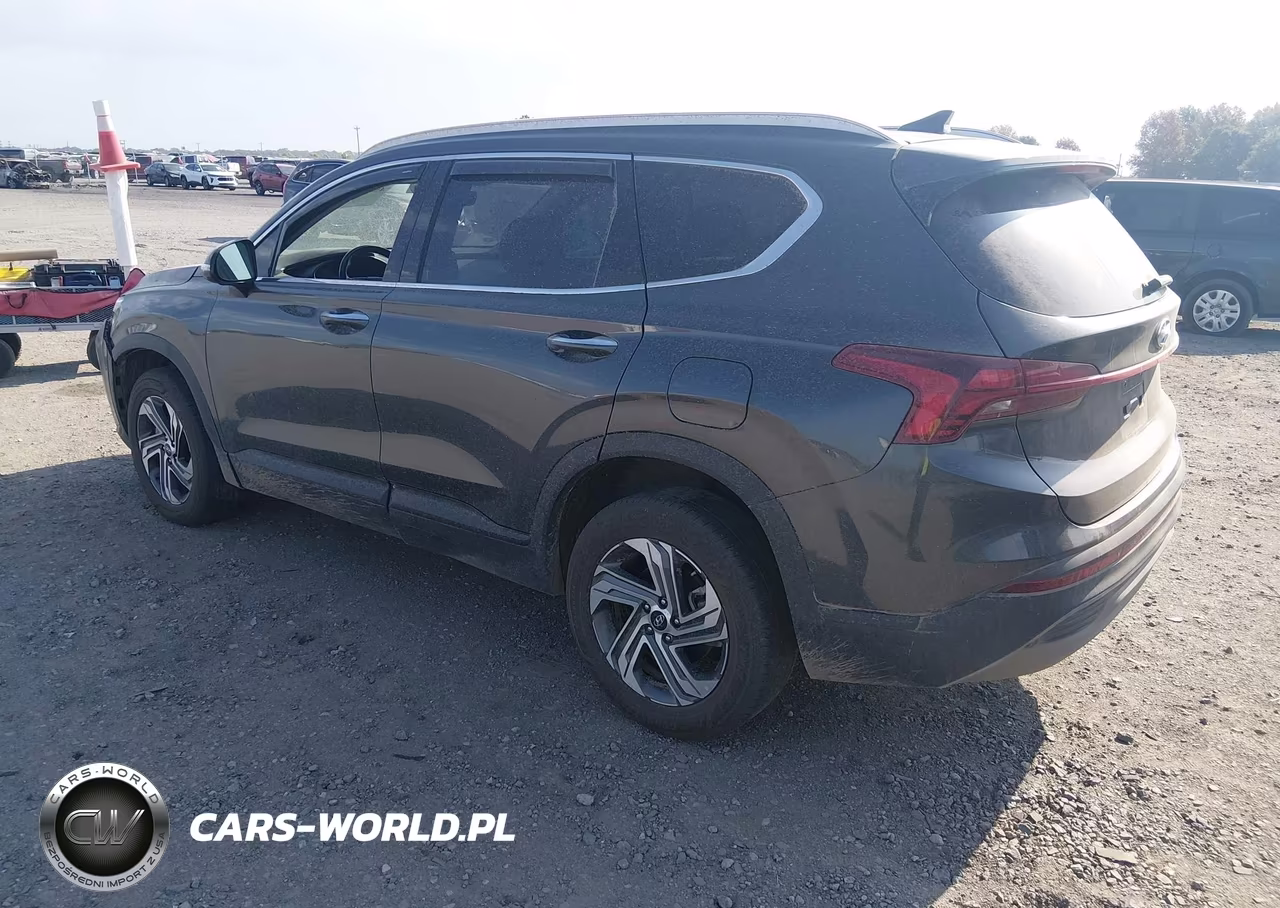 2023 Hyundai Santa Fe Sel VIN:5NMS2DAJ2PH561151 - 3