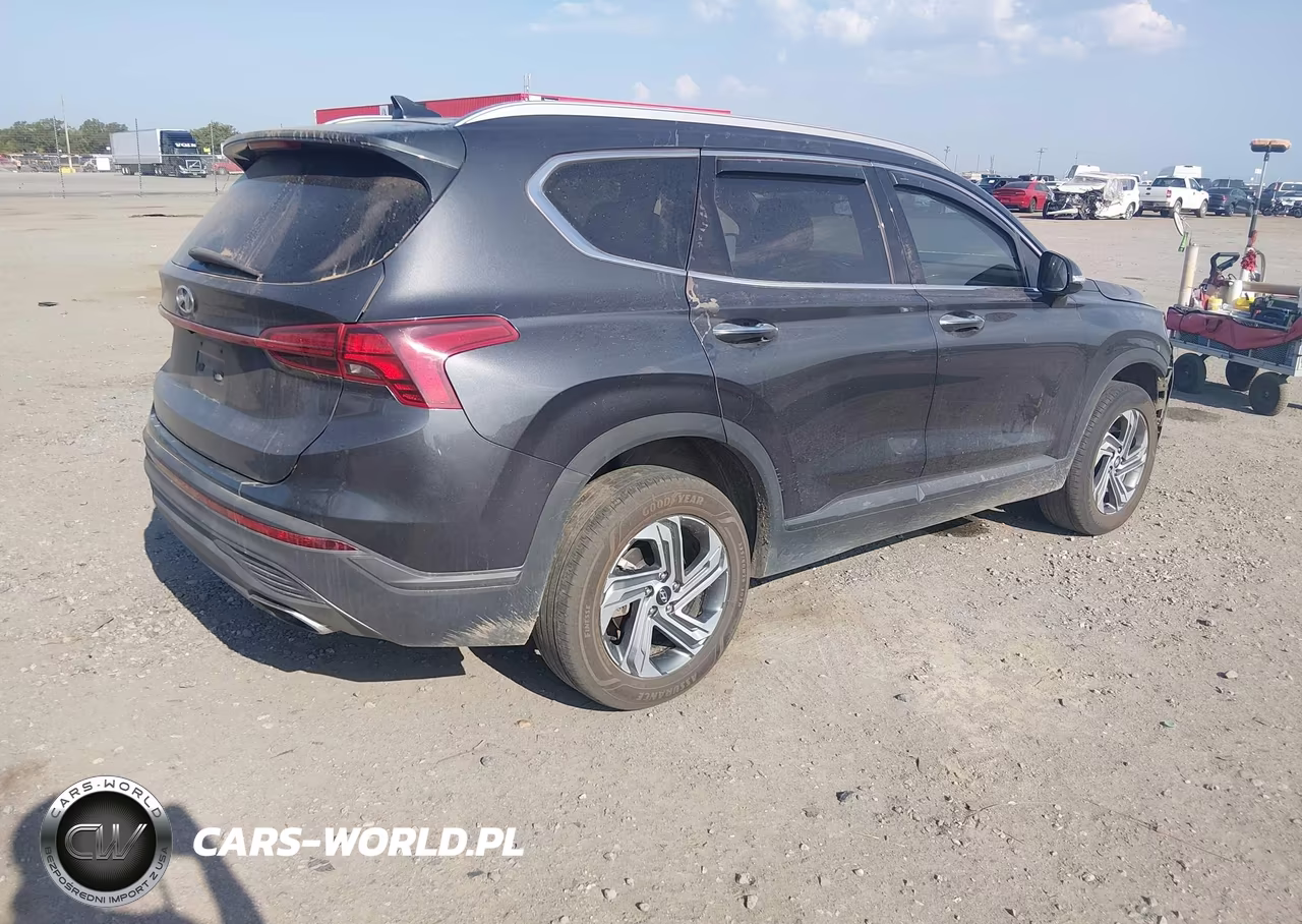 2023 Hyundai Santa Fe Sel VIN:5NMS2DAJ2PH561151 - 4