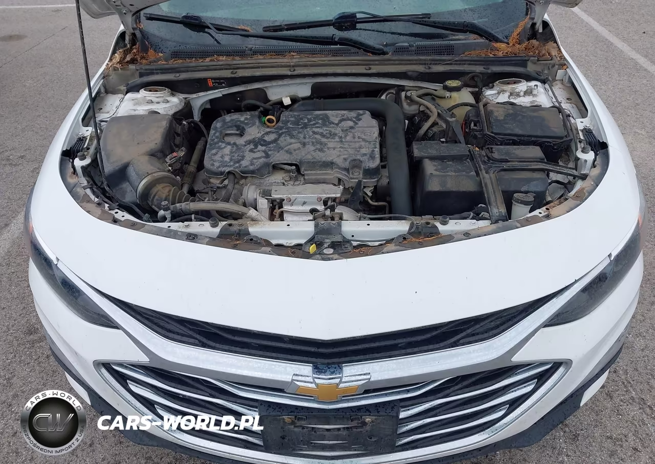 2020 Chevrolet Malibu Fwd Lt VIN:1G1ZD5ST1LF001183 - 10