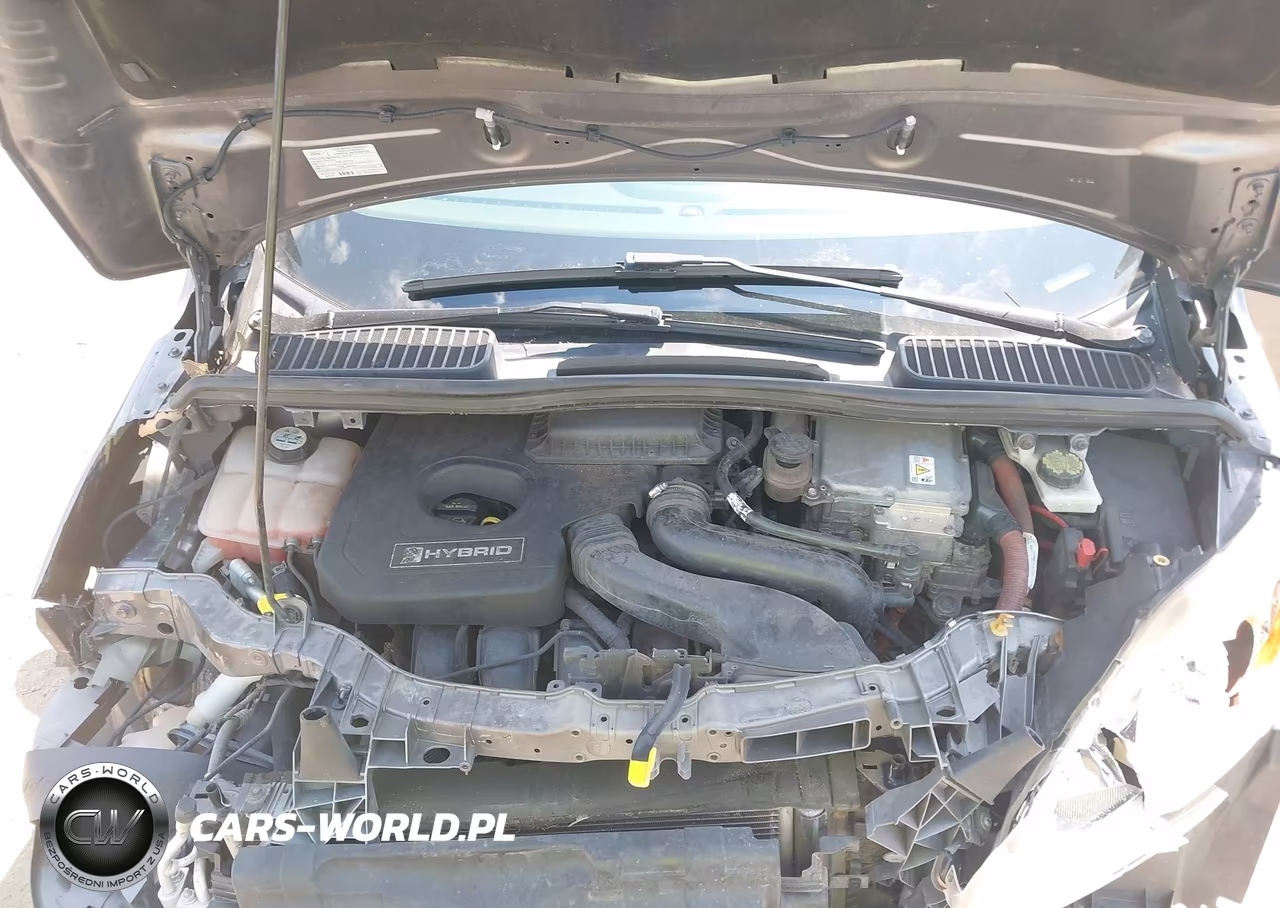 2013 Ford C-Max Hybrid Se VIN:1FADP5AU0DL535934 - 10