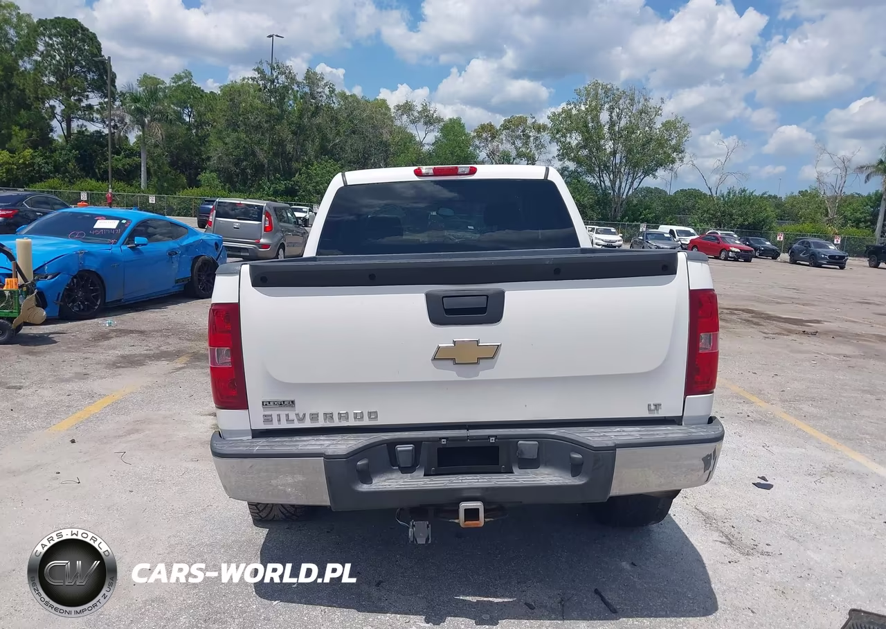 2010 Chevrolet Silverado 1500 Lt VIN:3GCRCSEA3AG109853 - 16