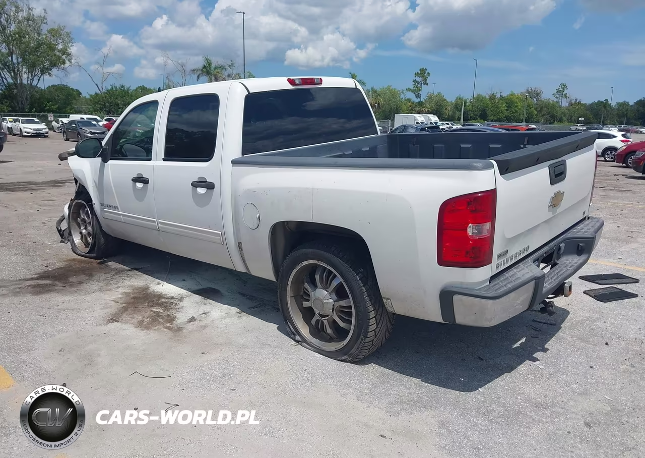 2010 Chevrolet Silverado 1500 Lt VIN:3GCRCSEA3AG109853 - 3