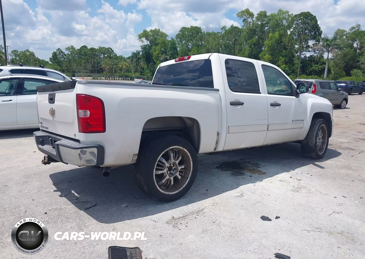 2010 Chevrolet Silverado 1500 Lt VIN:3GCRCSEA3AG109853 - 4