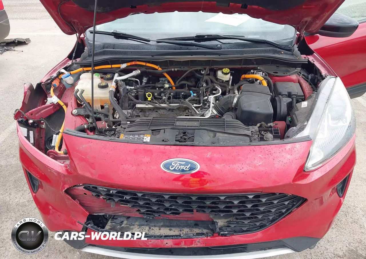2020 Ford Escape Se Sport Hybrid VIN:1FMCU9BZ7LUA55829 - 10