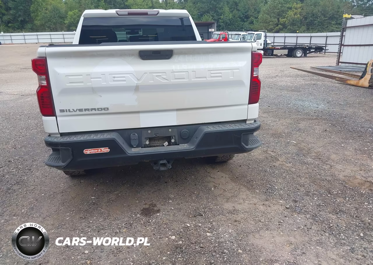 2019 Chevrolet Silverado 1500 Work Truck VIN:1GCUYAEF2KZ169576 - 17