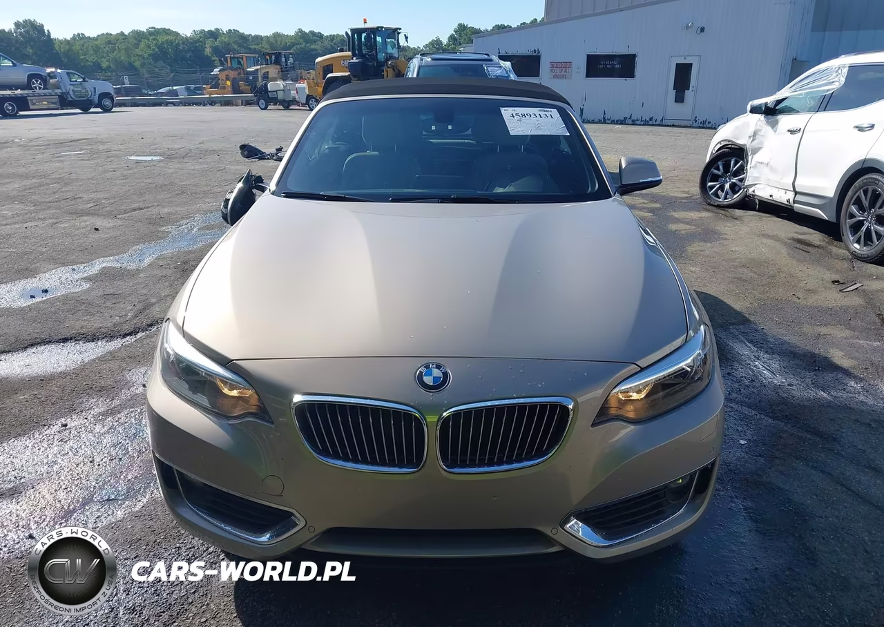 2017 BMW 230I VIN:WBA2K9C38HV950356 - 12