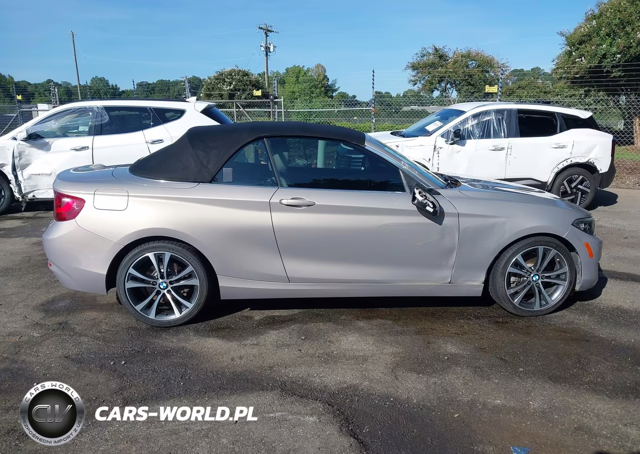 2017 BMW 230I VIN:WBA2K9C38HV950356 - 13