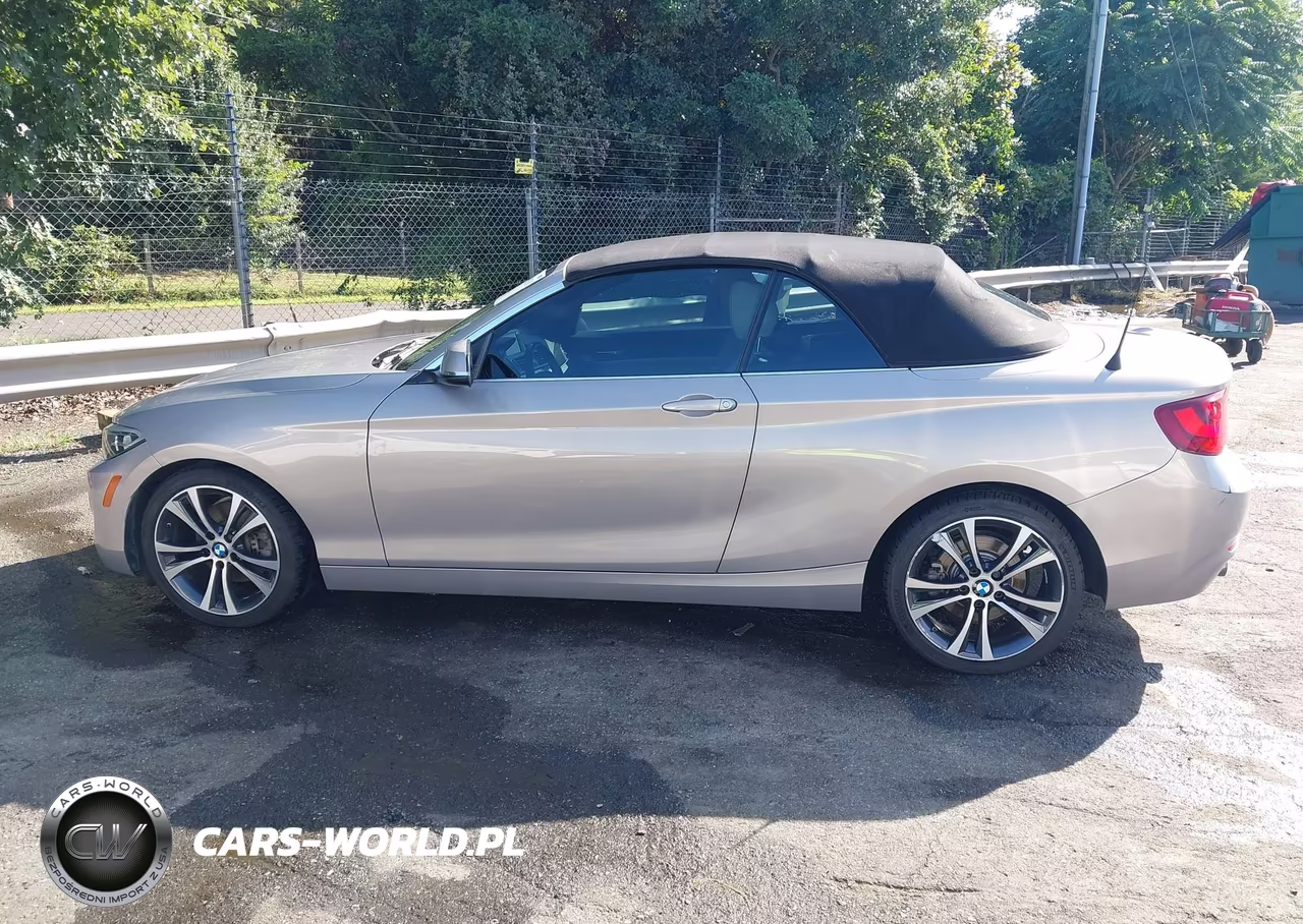 2017 BMW 230I VIN:WBA2K9C38HV950356 - 14