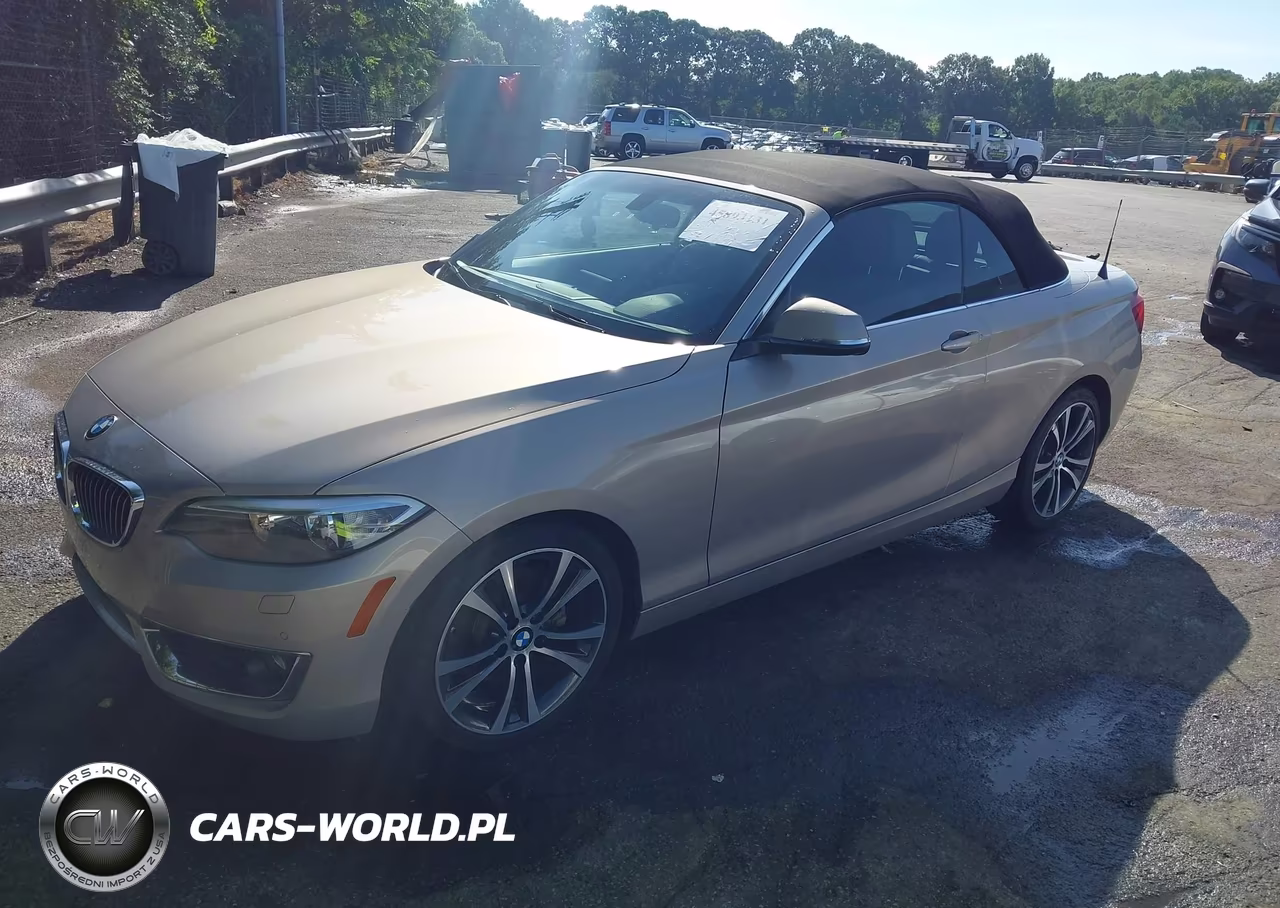 2017 BMW 230I VIN:WBA2K9C38HV950356 - 2