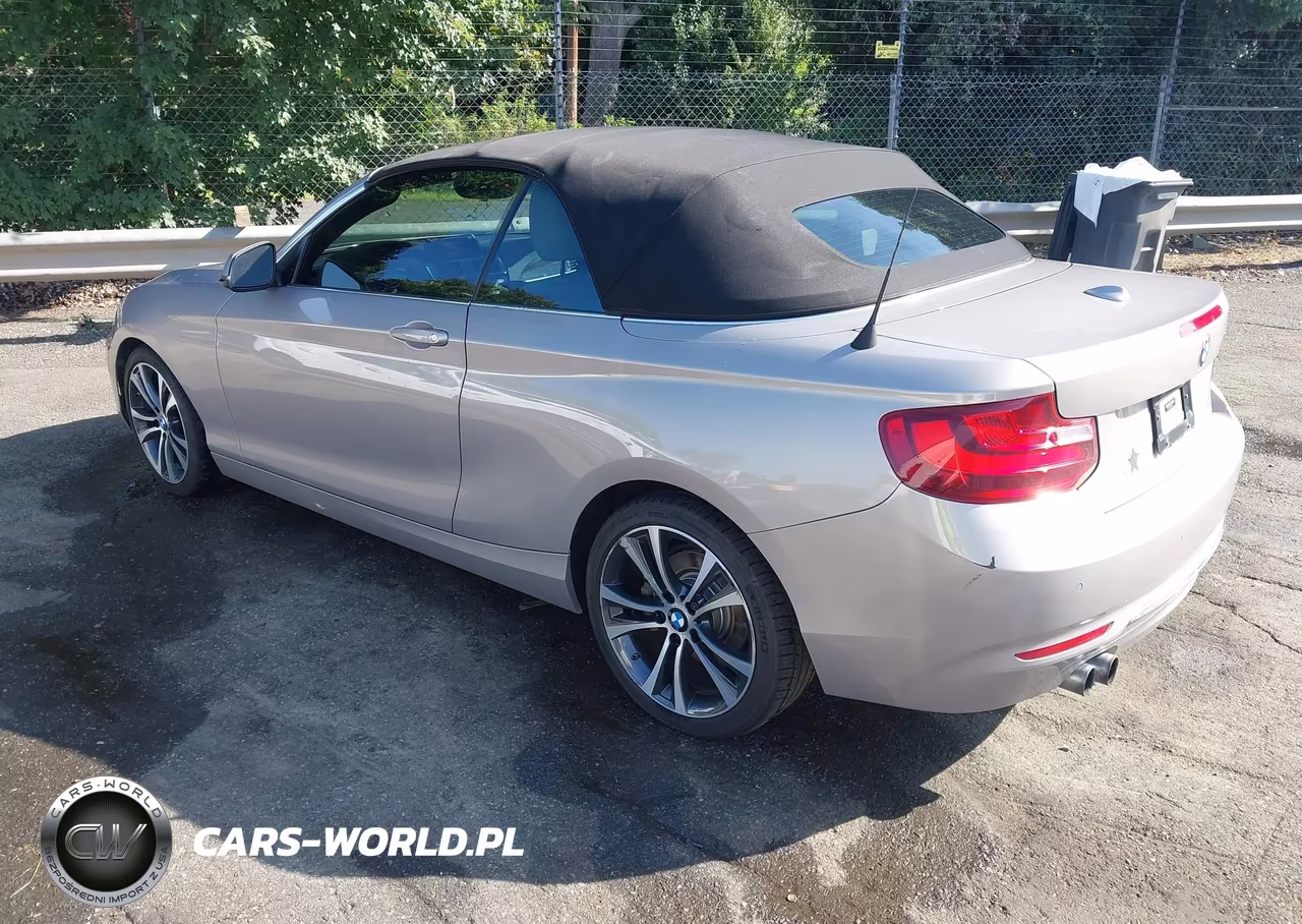 2017 BMW 230I VIN:WBA2K9C38HV950356 - 3