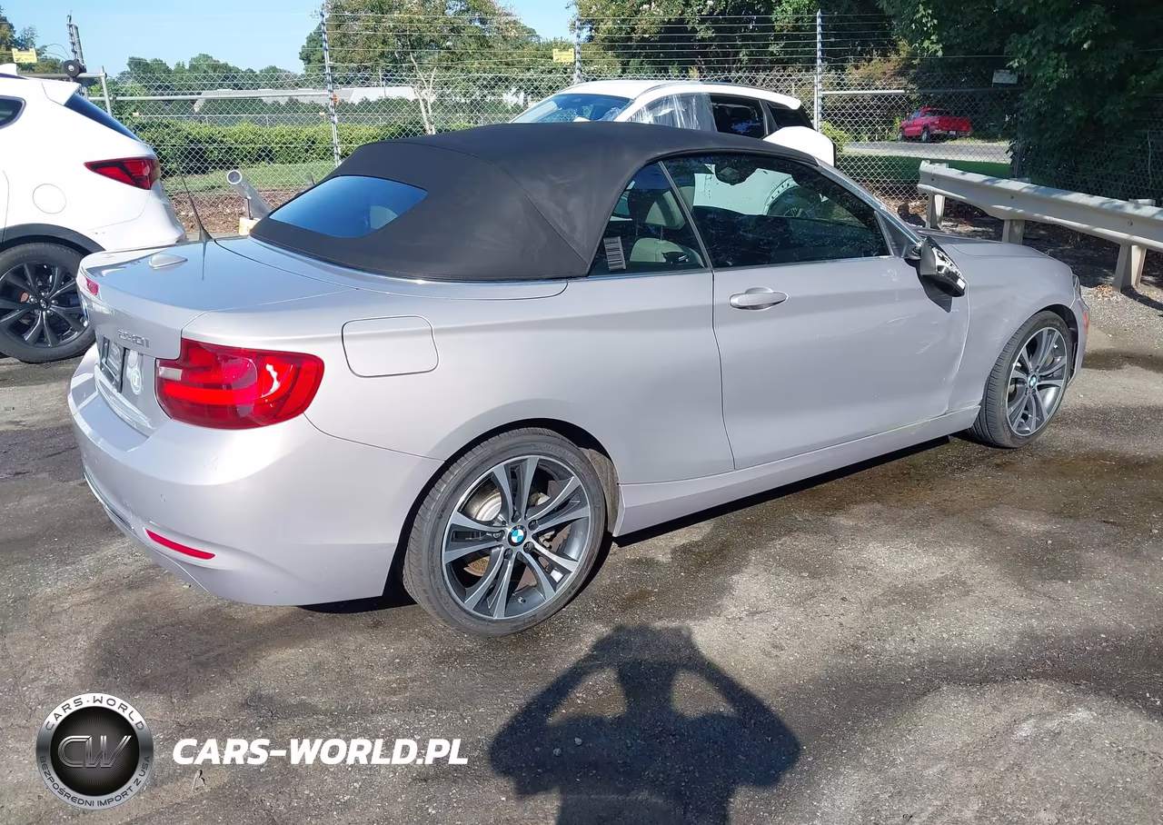 2017 BMW 230I VIN:WBA2K9C38HV950356 - 4