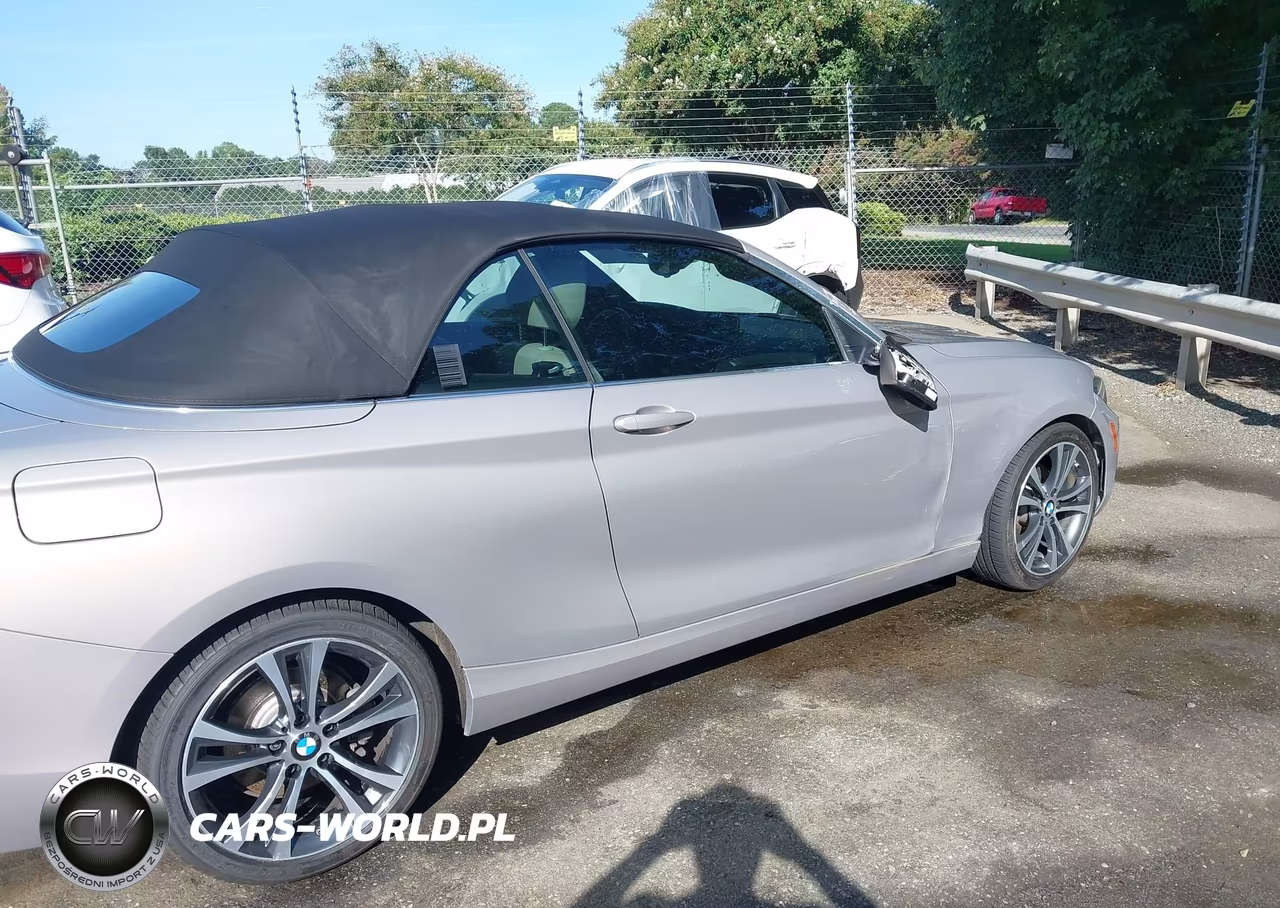 2017 BMW 230I VIN:WBA2K9C38HV950356 - 6