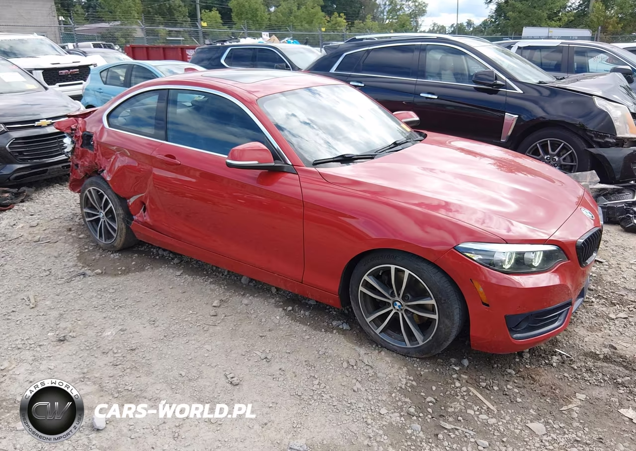 2019 BMW 230I xDrive VIN:WBA2J3C57KVD49242 - 1