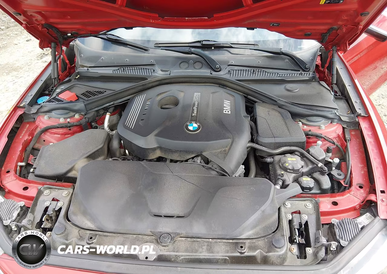 2019 BMW 230I xDrive VIN:WBA2J3C57KVD49242 - 10