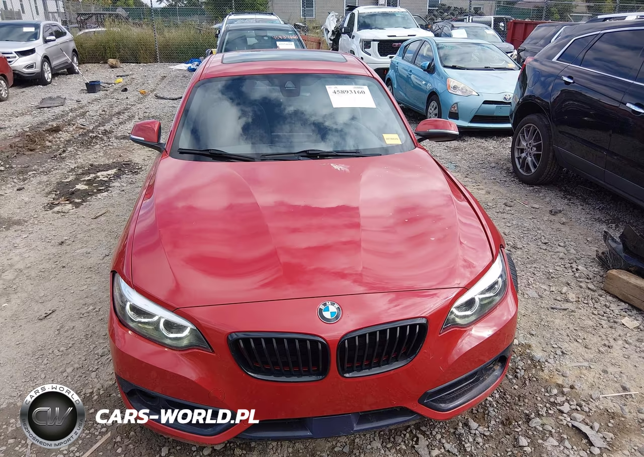 2019 BMW 230I xDrive VIN:WBA2J3C57KVD49242 - 13